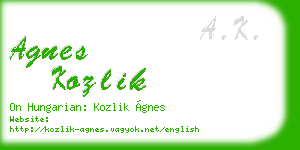 agnes kozlik business card