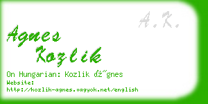 agnes kozlik business card